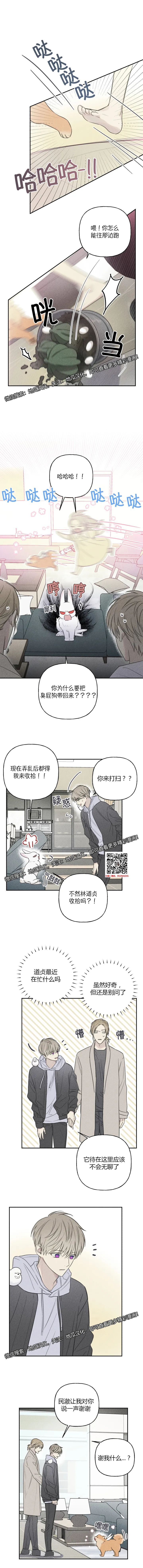 章节图片