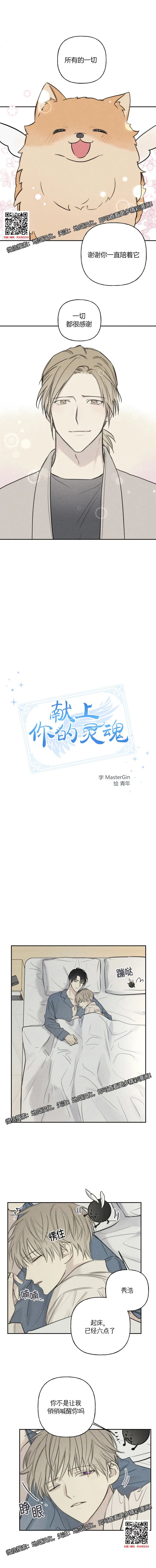 章节图片