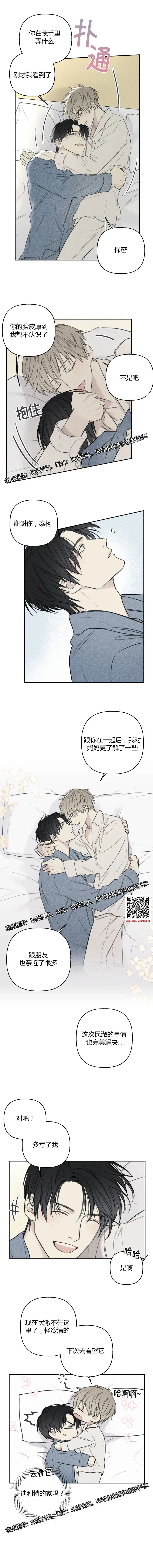 章节图片