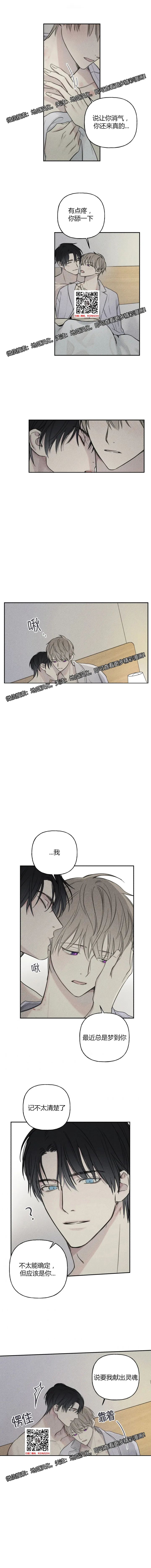 章节图片