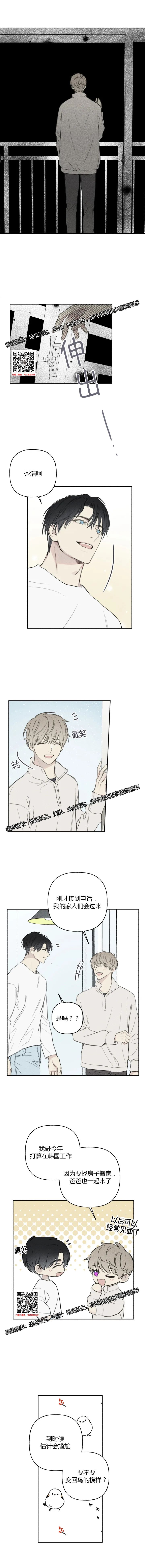 章节图片
