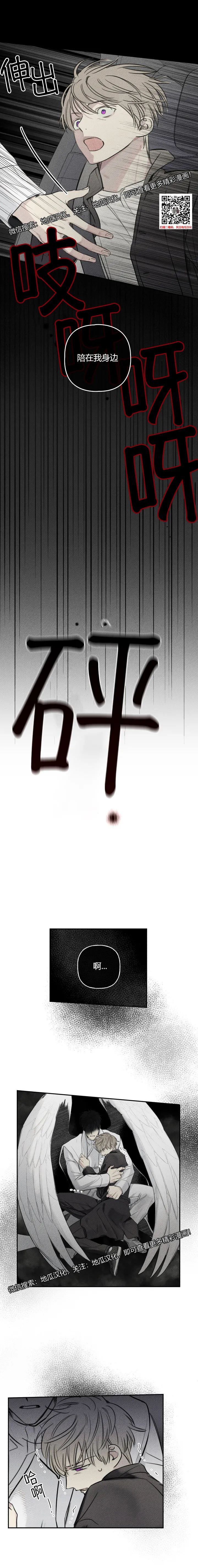 章节图片
