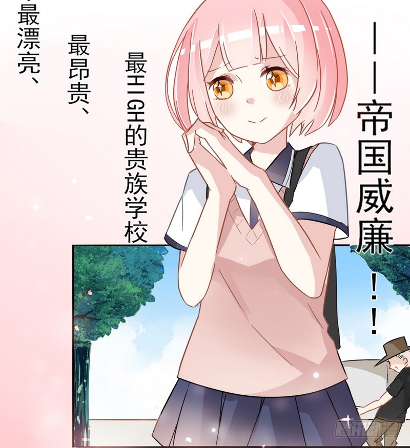 章节图片