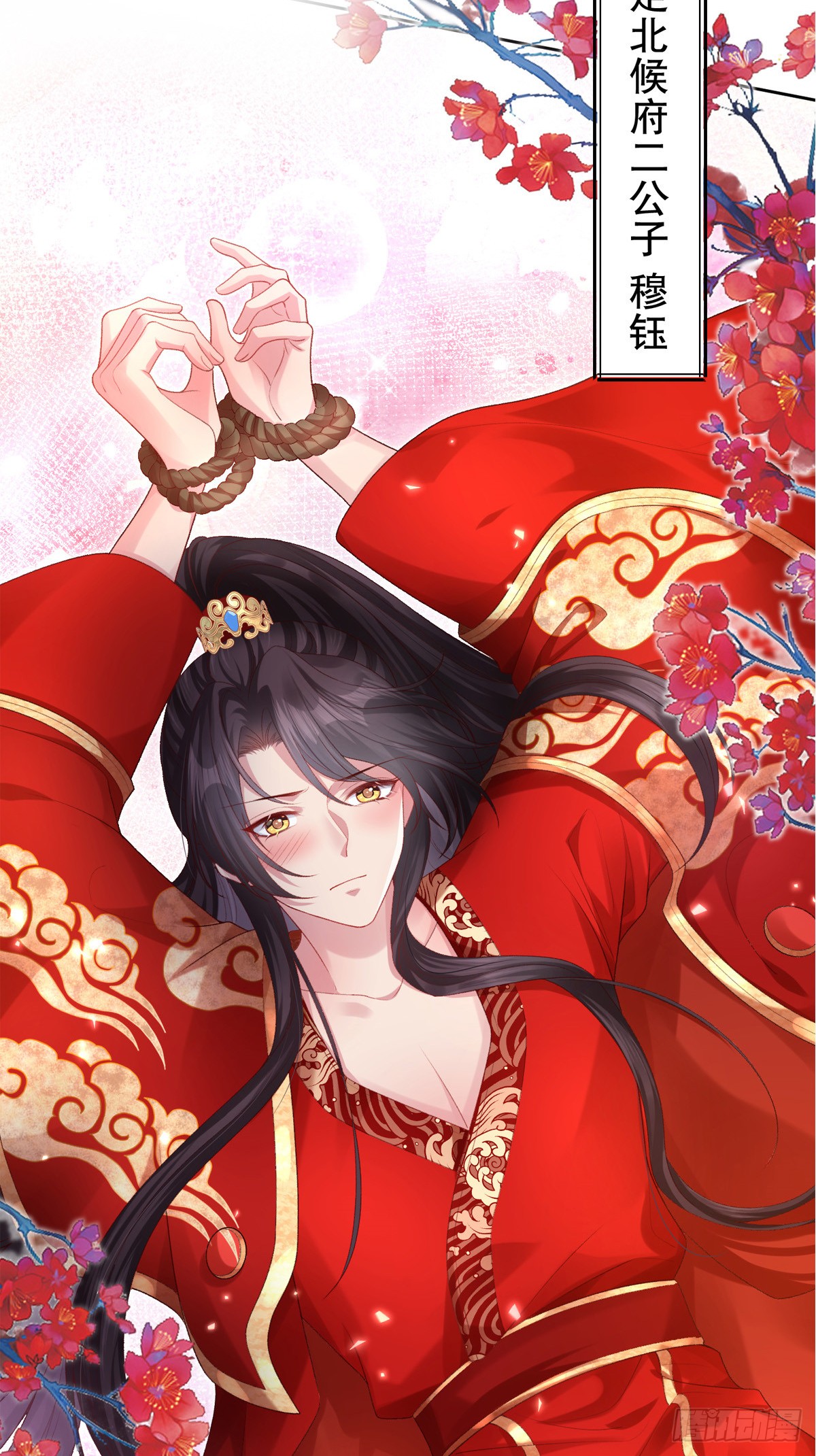 章节图片