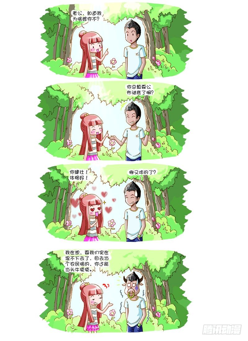 章节图片