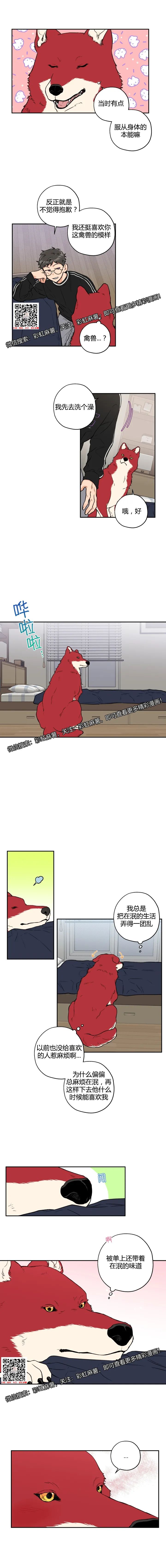 章节图片