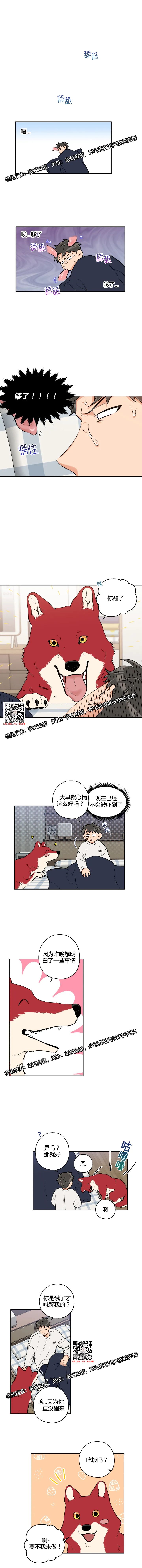 章节图片