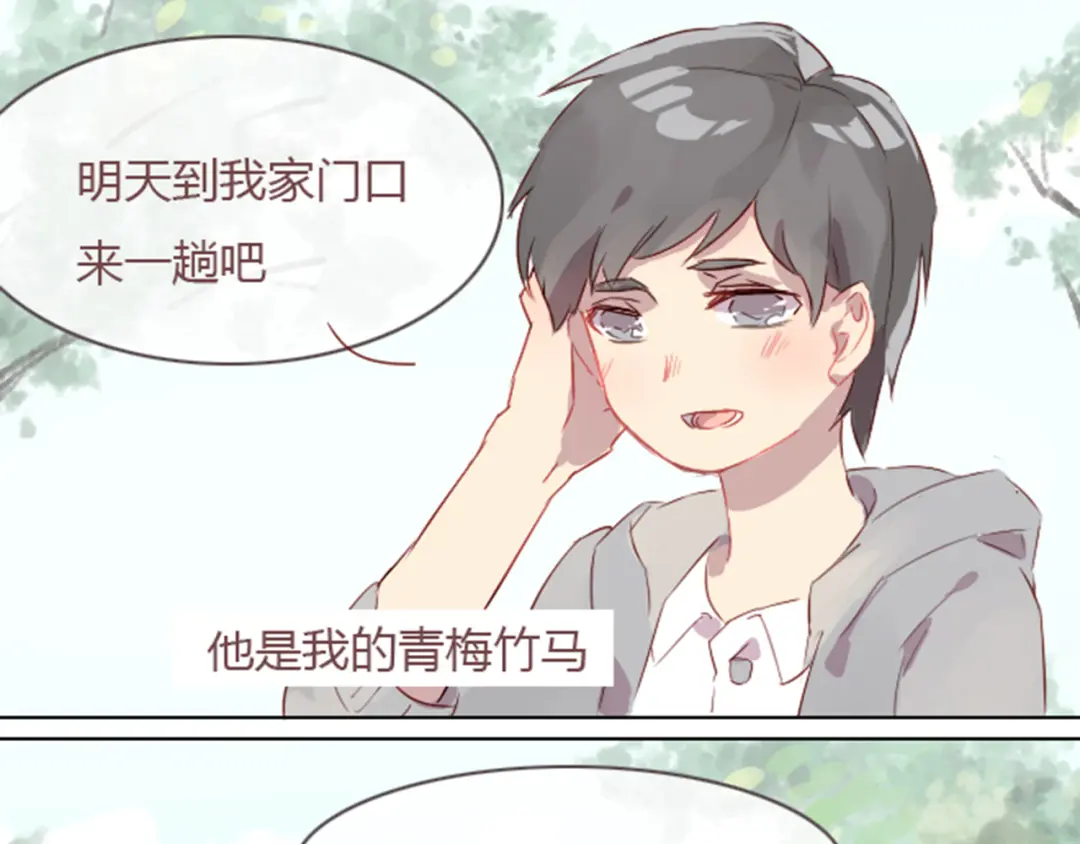章节图片