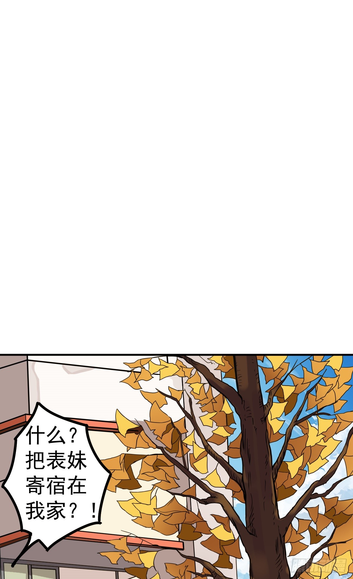 章节图片