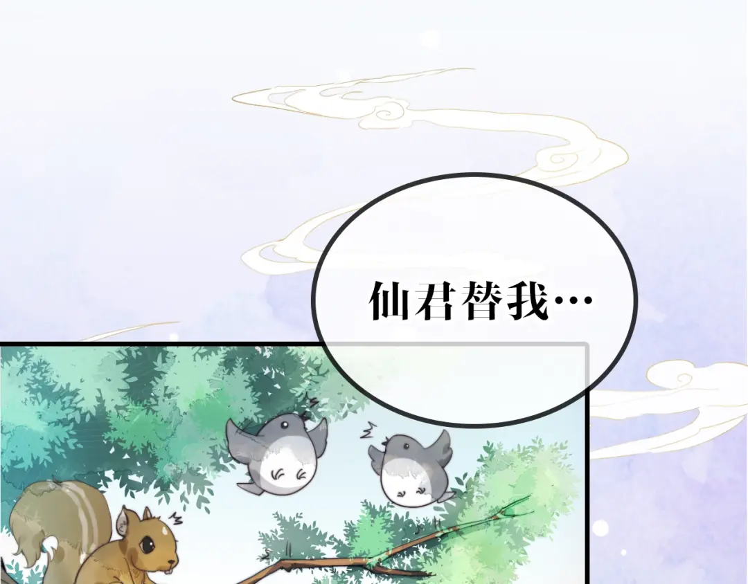 章节图片