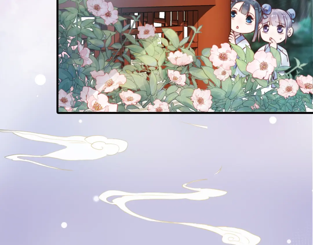 章节图片