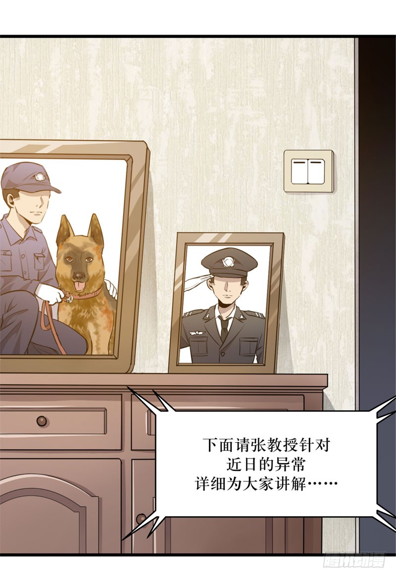 章节图片