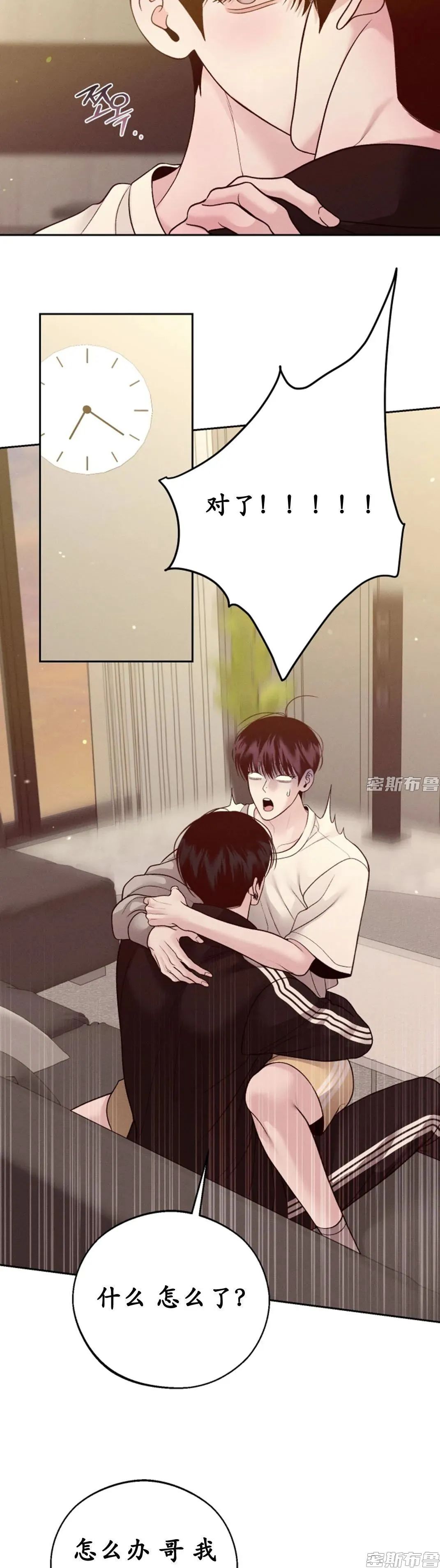 章节图片