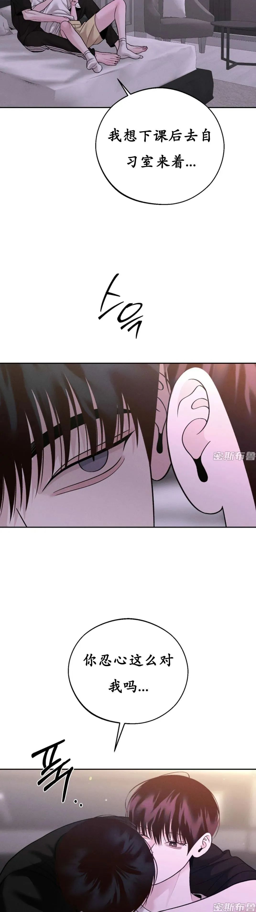 章节图片