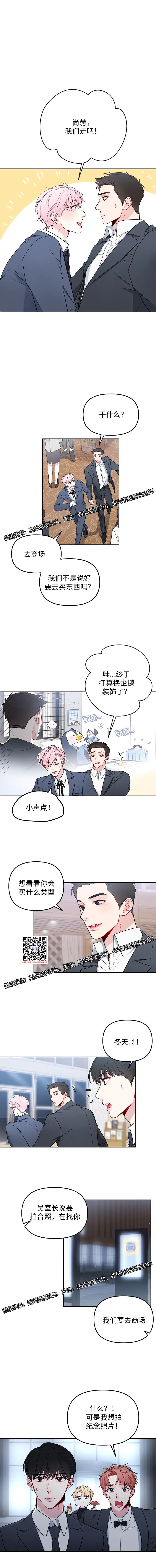 章节图片