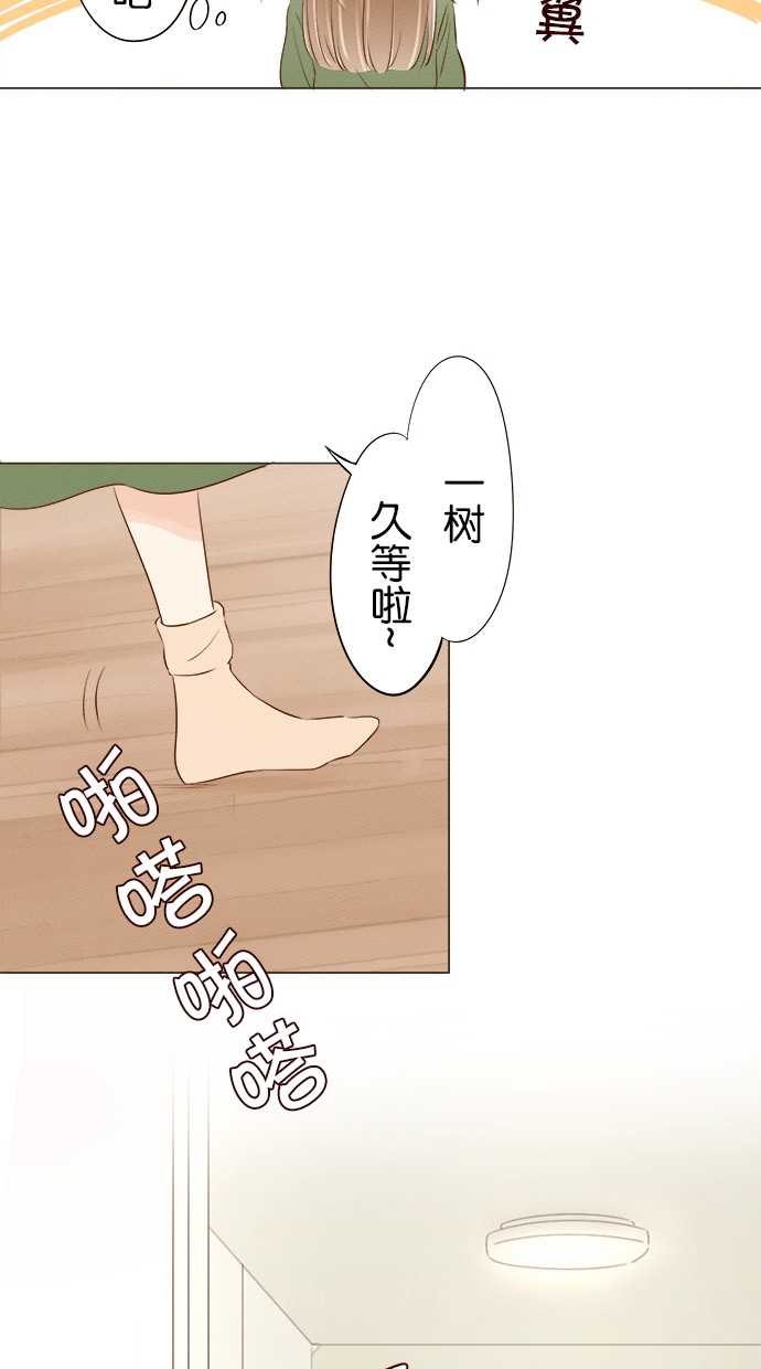 章节图片