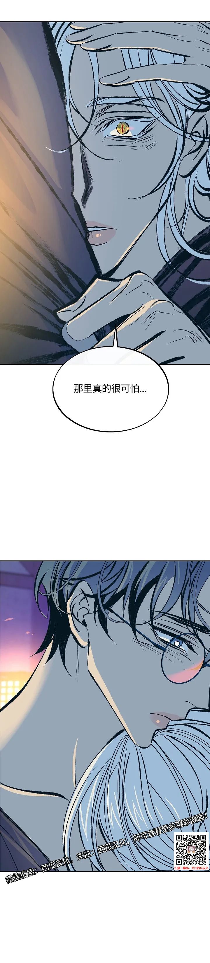 章节图片