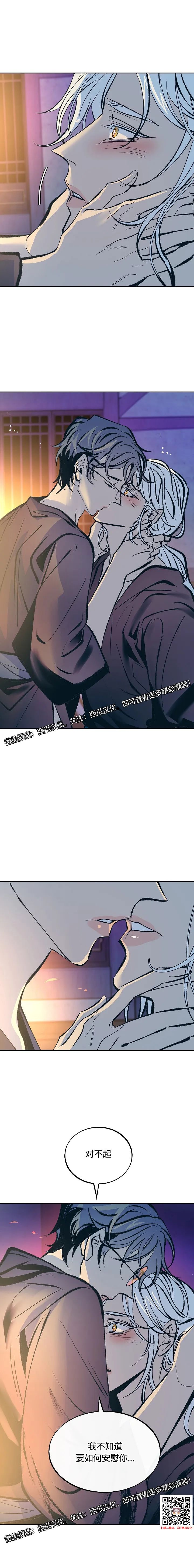 章节图片