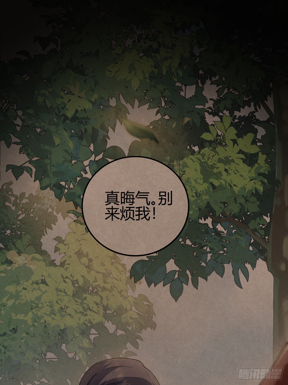 章节图片