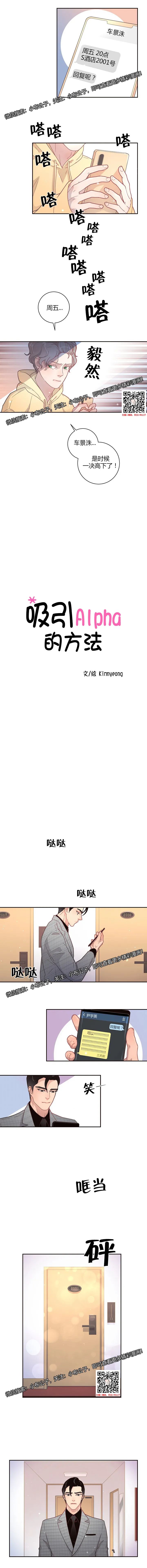 章节图片