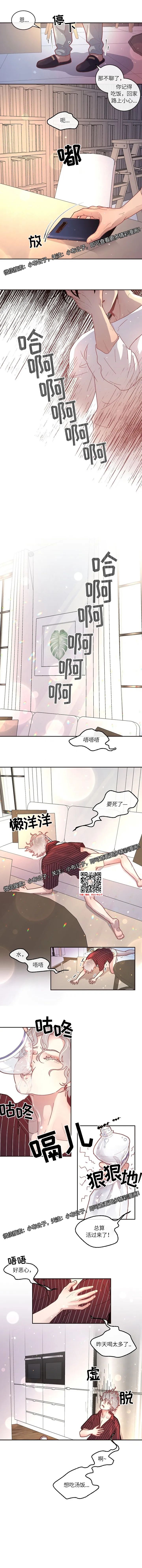 章节图片