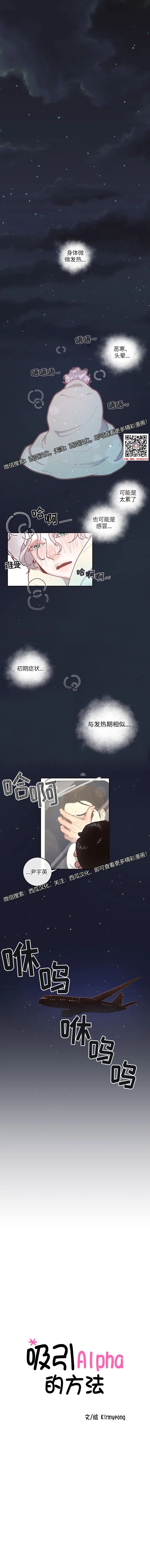 章节图片