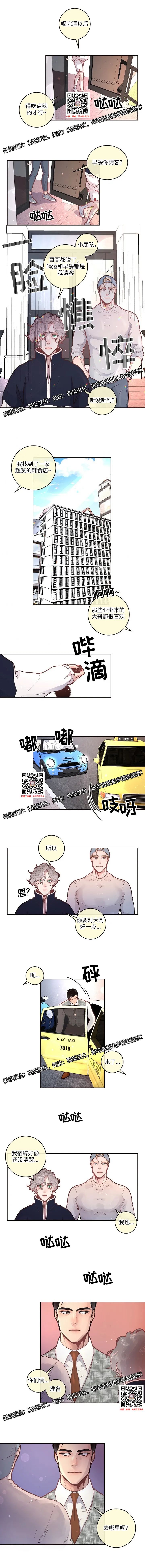 章节图片