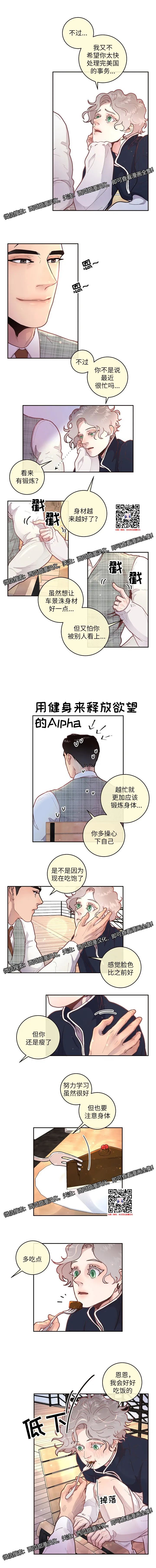 章节图片