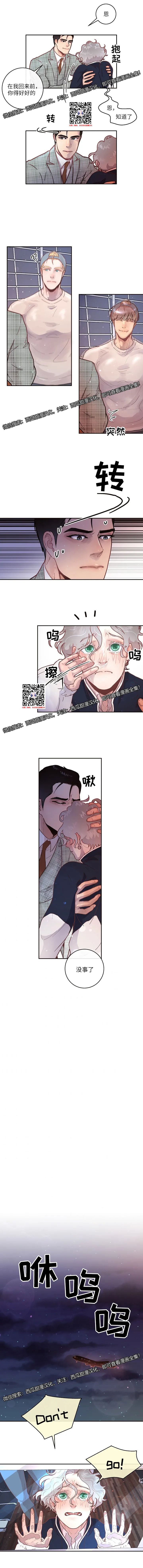 章节图片