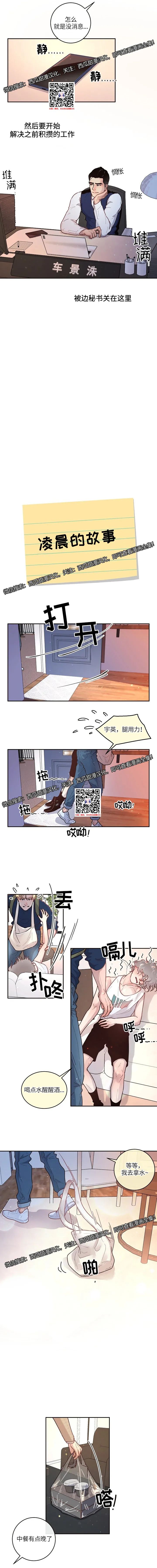 章节图片