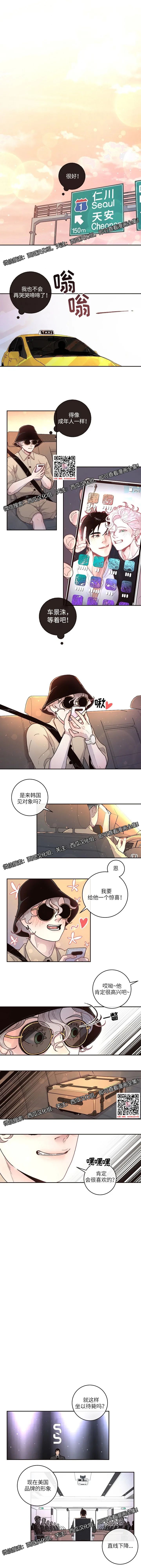 章节图片