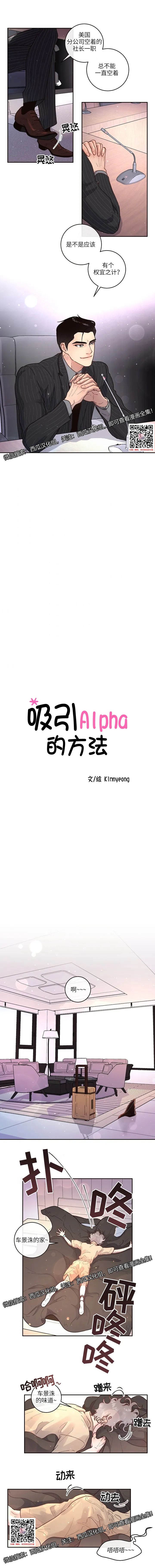 章节图片