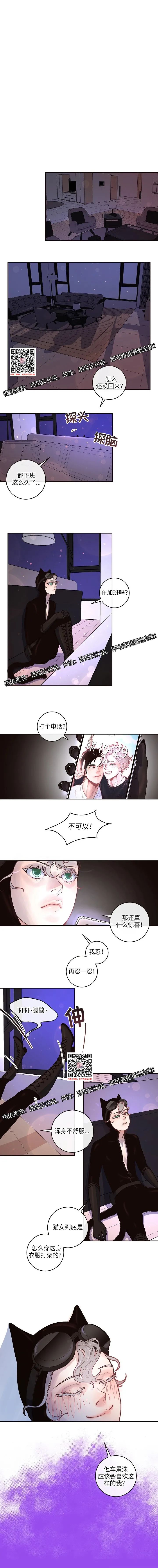 章节图片