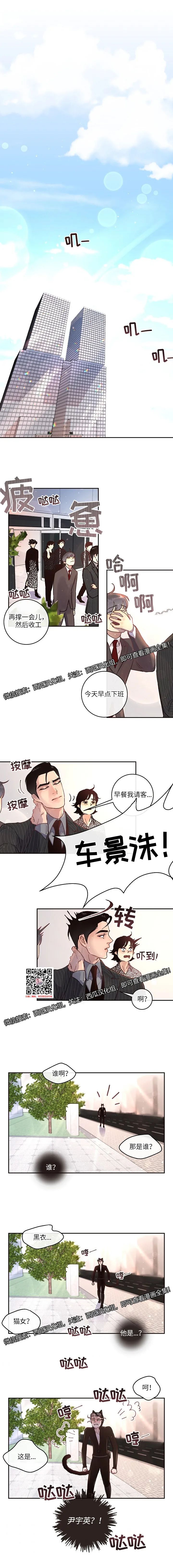章节图片