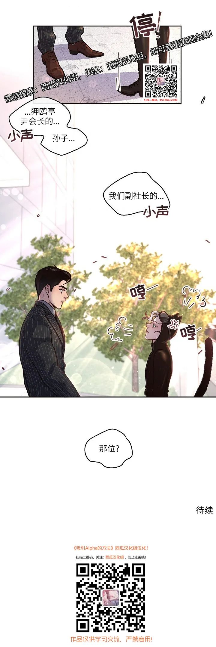 章节图片