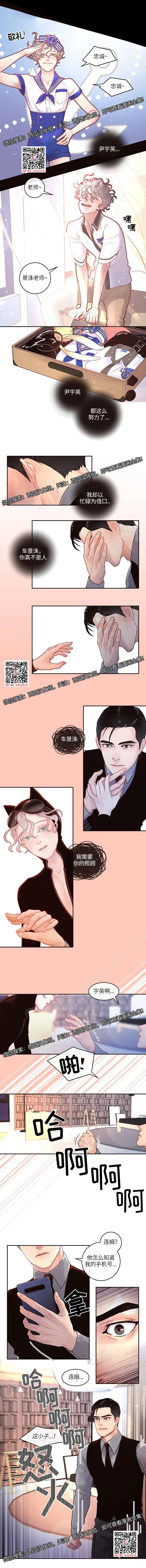 章节图片