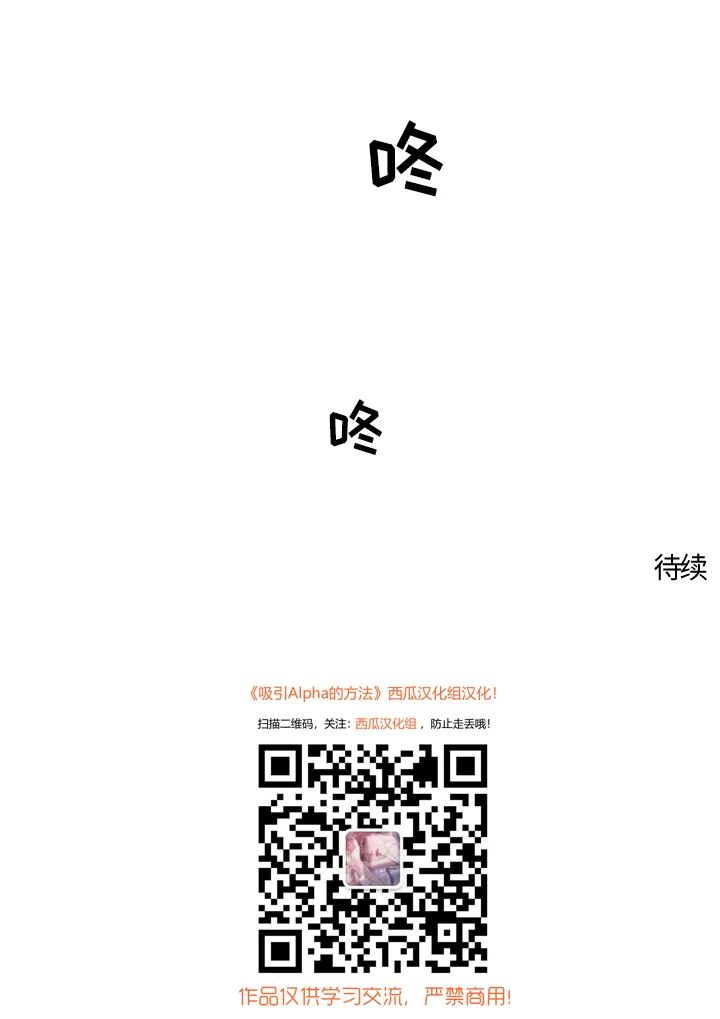 章节图片