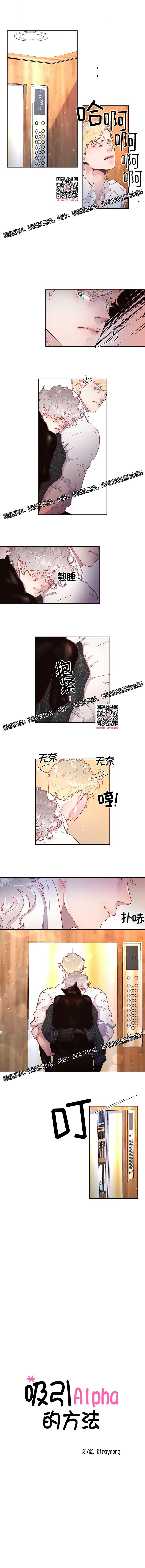 章节图片