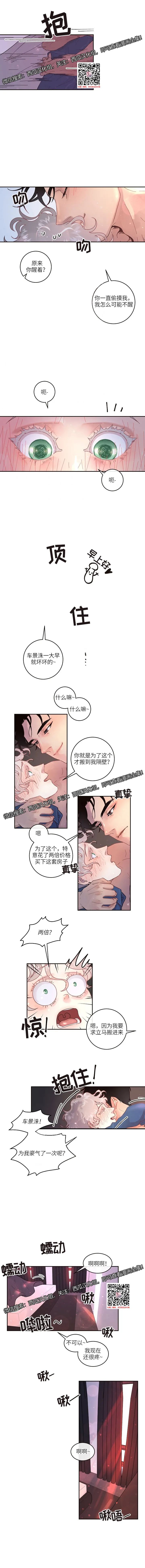 章节图片