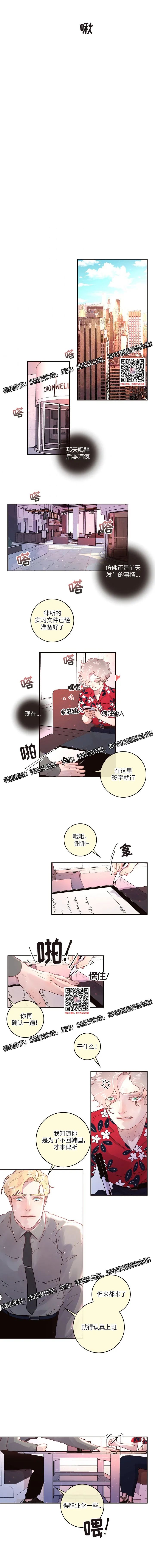 章节图片