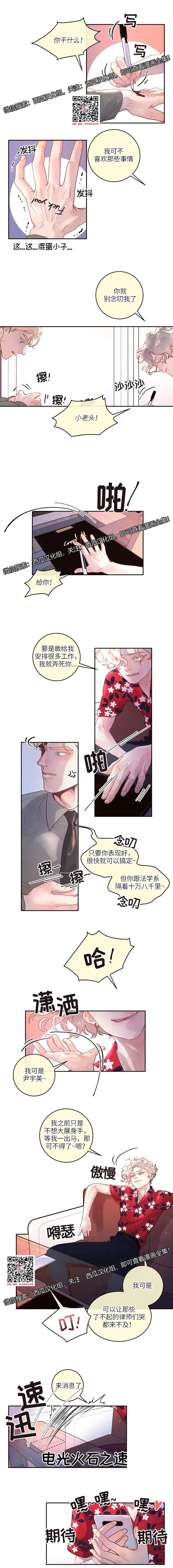 章节图片