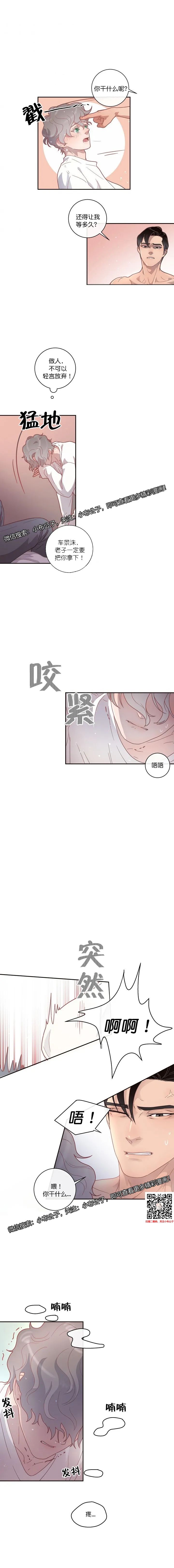 章节图片
