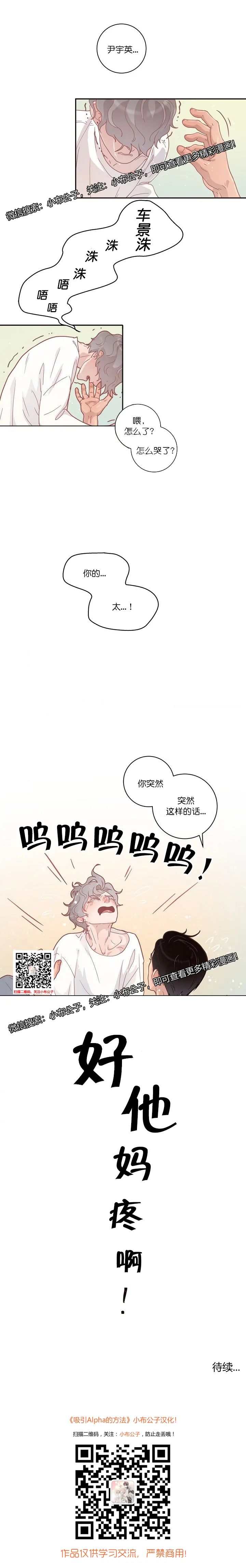 章节图片