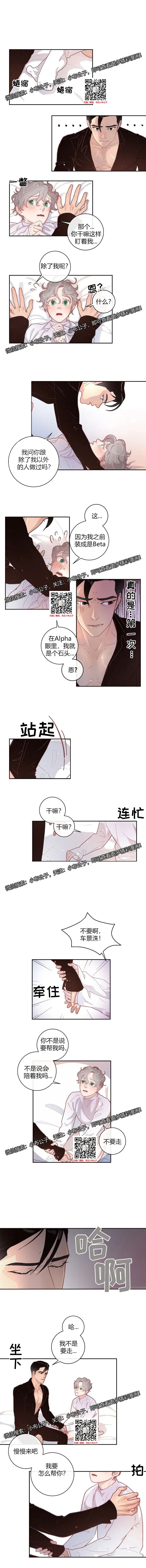 章节图片