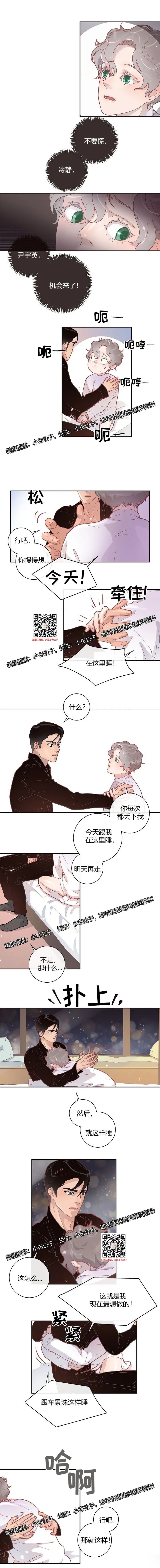 章节图片