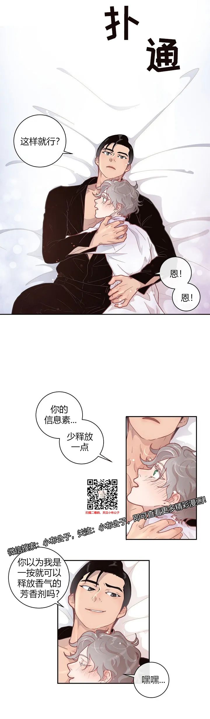 章节图片