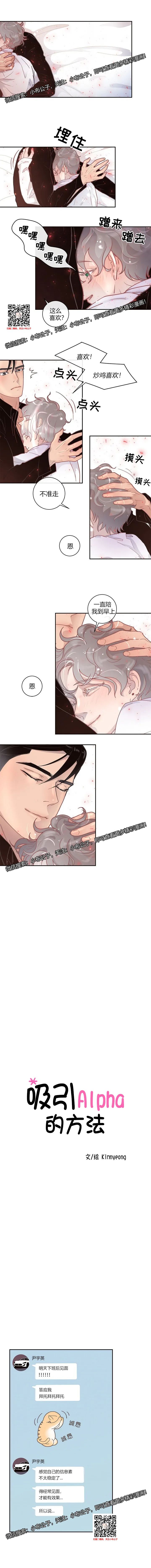 章节图片