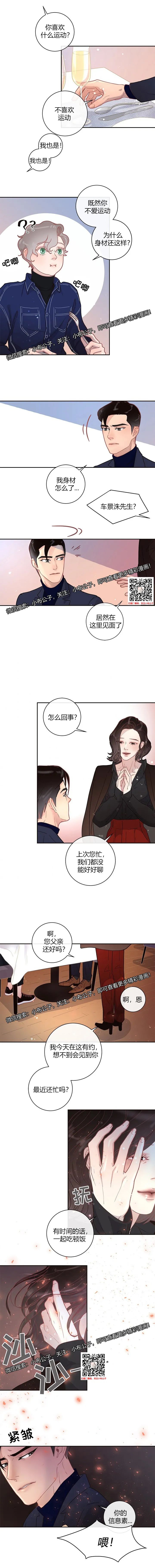 章节图片