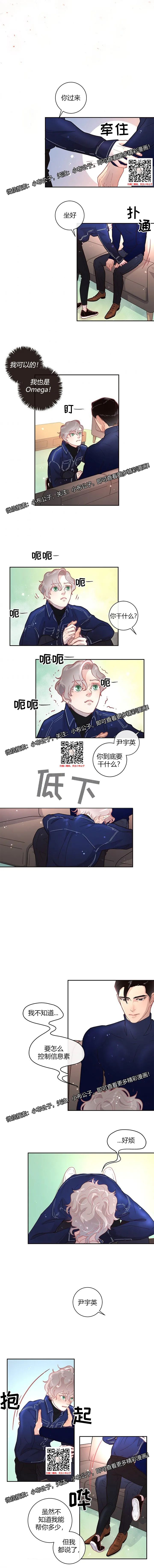 章节图片