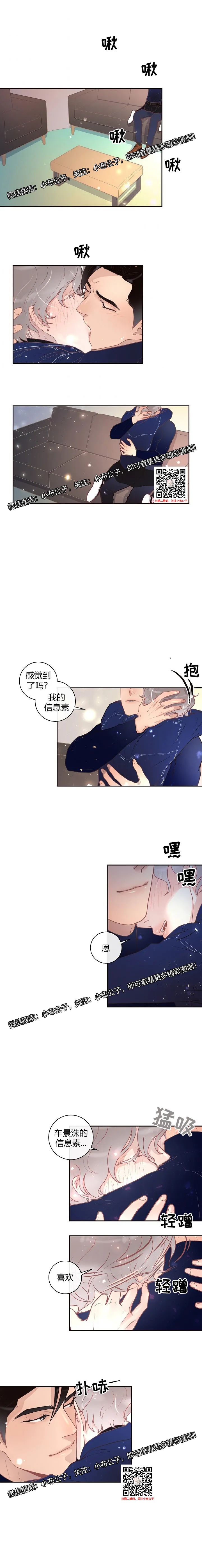 章节图片